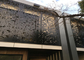 O metal decorativo bonito exterior, painéis de parede de aço decorativos ISO9001 decorativos do metal aprovou fornecedor