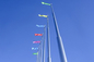 Polo de bandeira de aço inoxidável da vária forma para quadrados da cidade / terminais da alfândega / estádios fornecedor